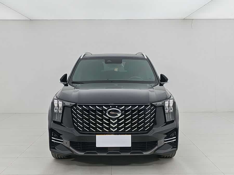 GAC Trumpchi GS8 2021 car image #3