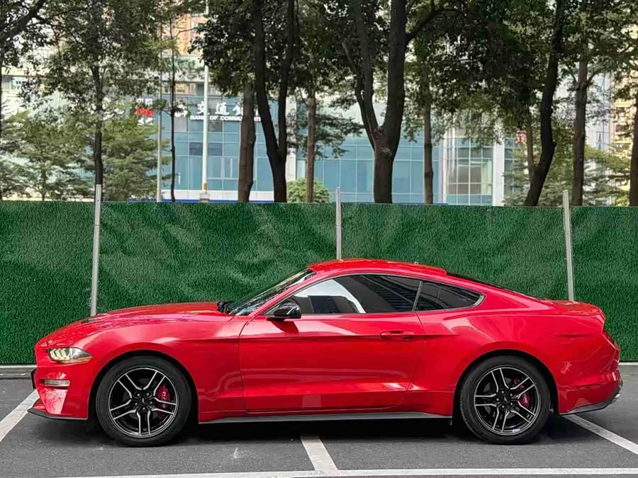 Ford Mustang 2019 #3 Ford Mustang 2019 immagine di auto #3