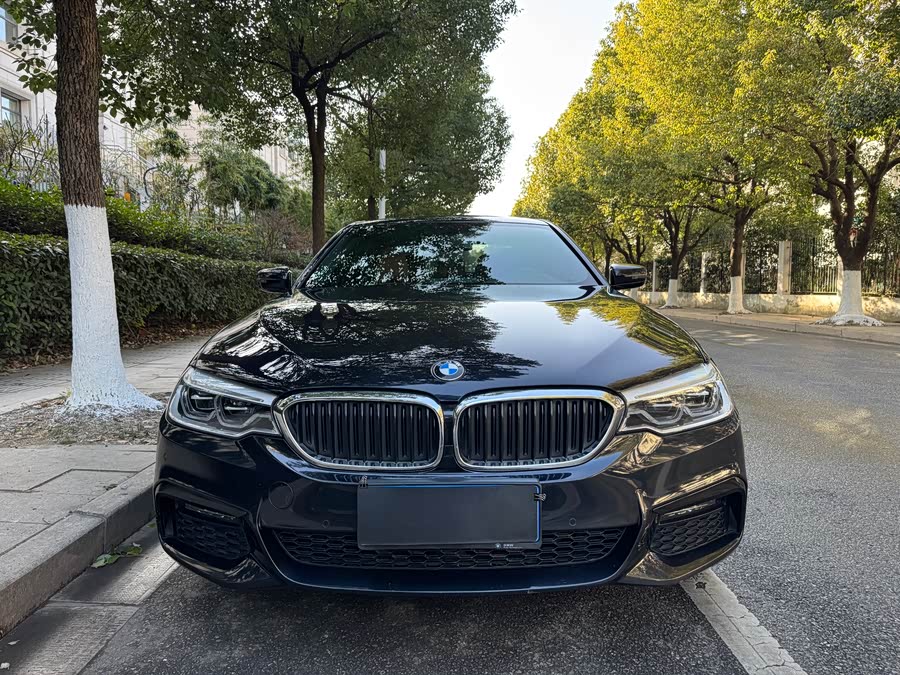 BMW 5 Series 2018 #3 BMW 5 Series 2018 car image #3