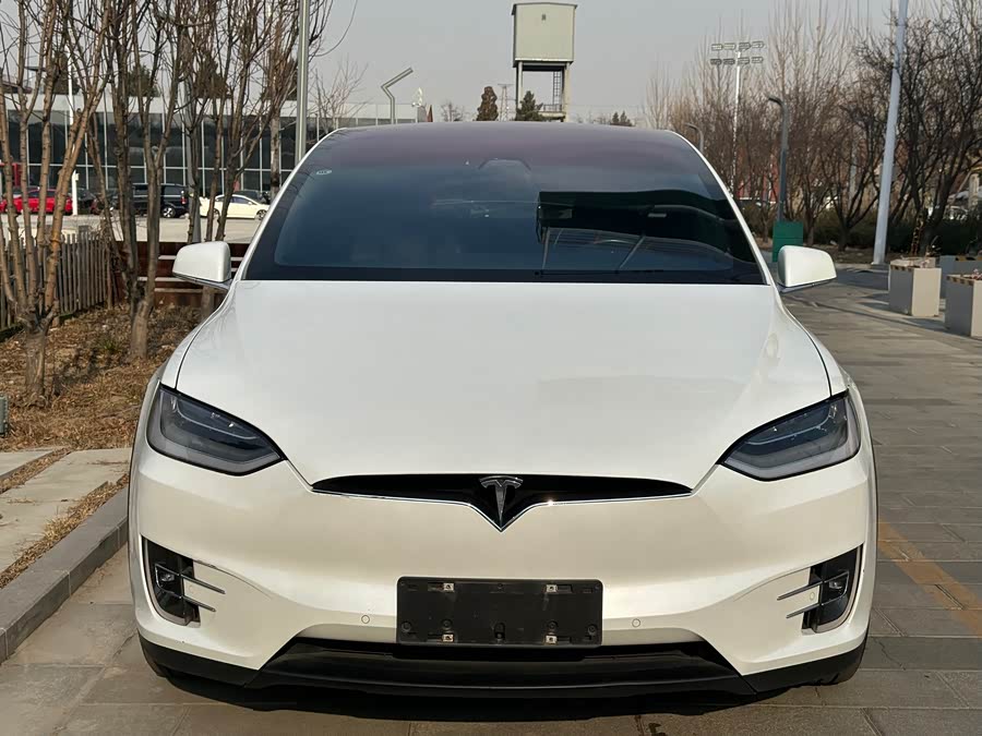 Tesla Model X 2020 #3 Tesla Model X 2020 car image #3