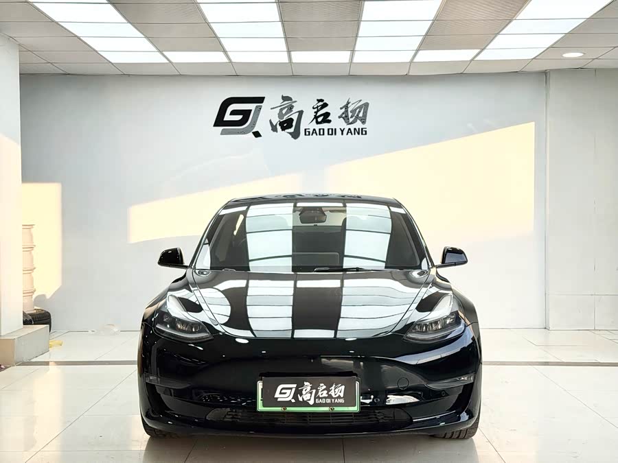 Tesla Model 3 2021 car image #3