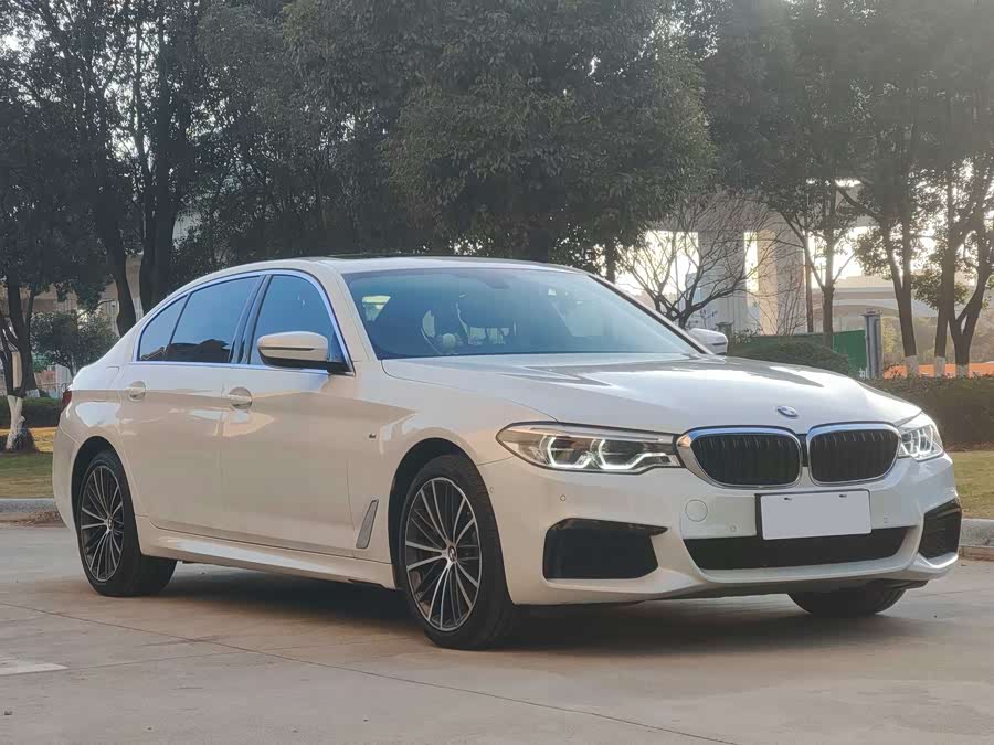 BMW 5 Series 2020 car image #3