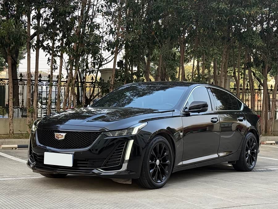 2020 #3 2020 car image #3