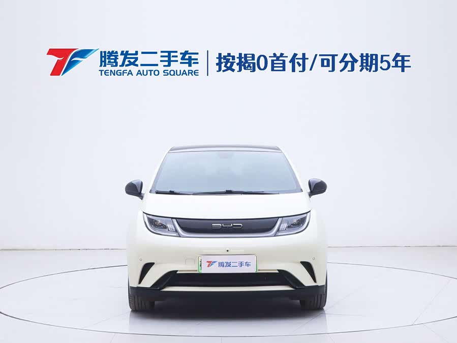 BYD Dolphin 2023 immagine di auto #3