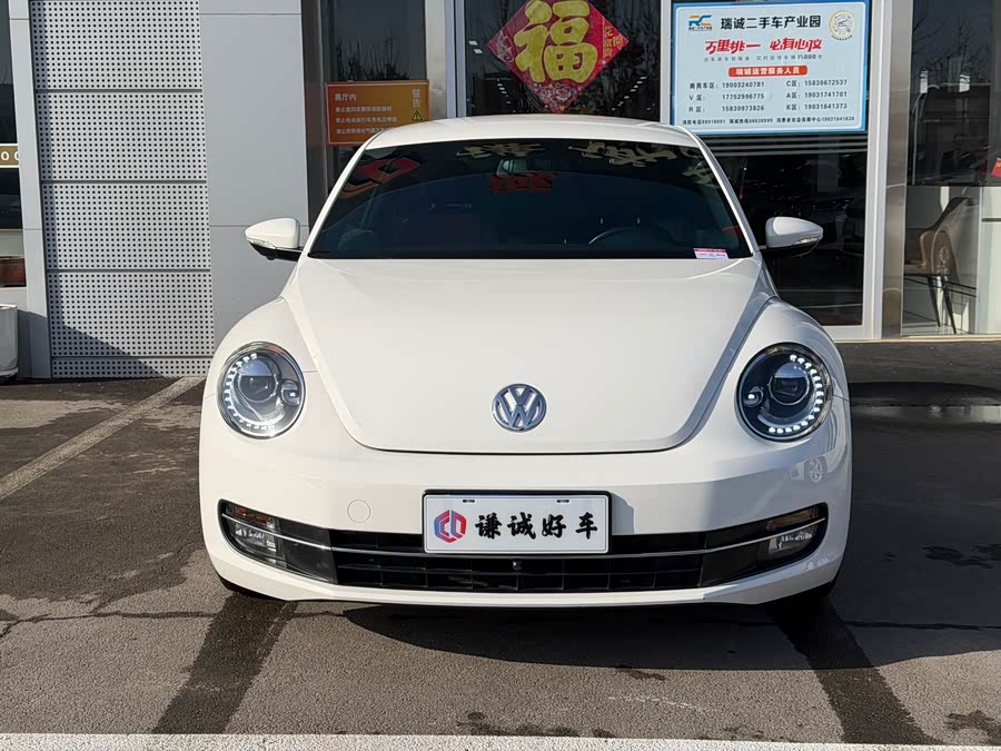 Volkswagen Beetle 2014 immagine di auto #3