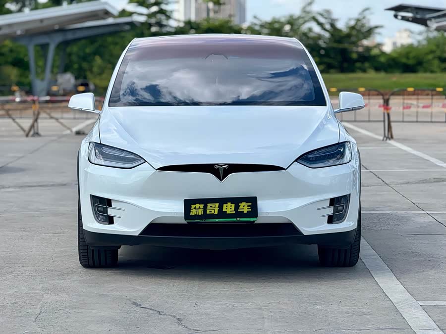 特斯拉 Model X 2020 汽车图片 #3