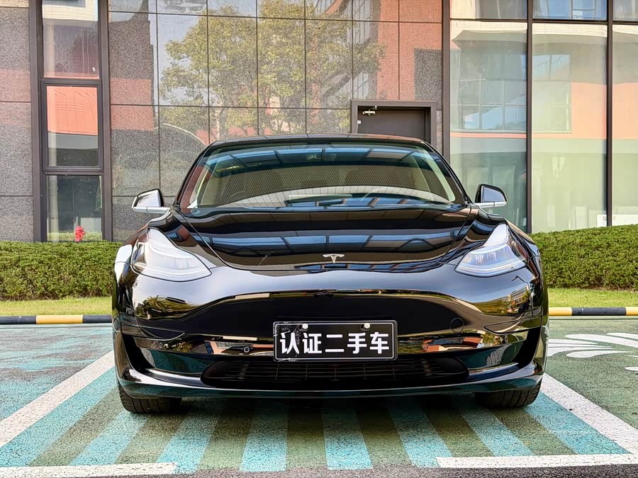 Tesla Model 3 2020 #3 Tesla Model 3 2020 car image #3