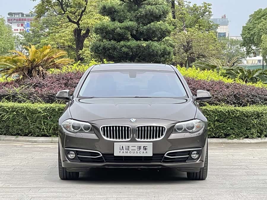 BMW 5 Series 2014 car image #3
