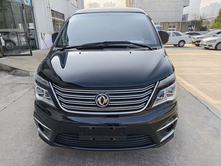 Forthing Lingzhi 2020 car image #3