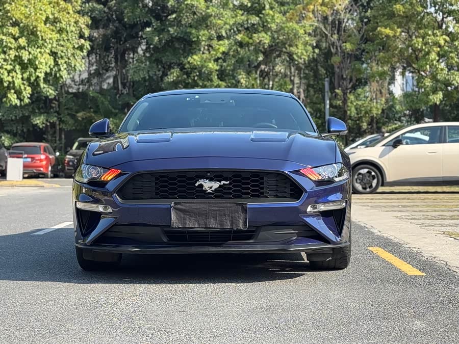 Ford Mustang 2020 immagine di auto #3