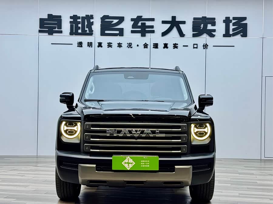 Haval Raptor New Energy 2023 car image #3