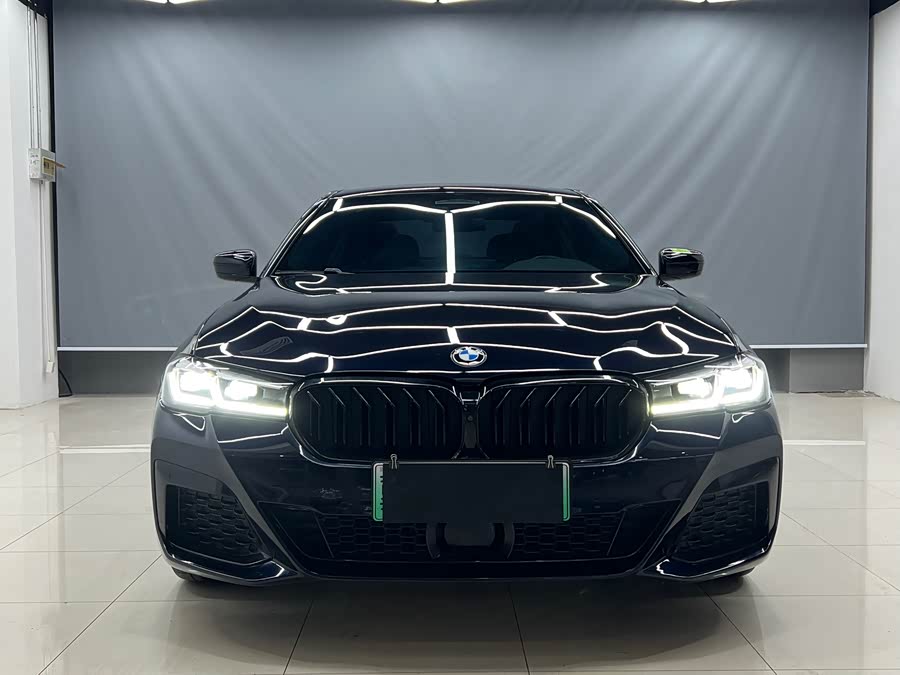 BMW 5 Series New Energy 2021 car image #3