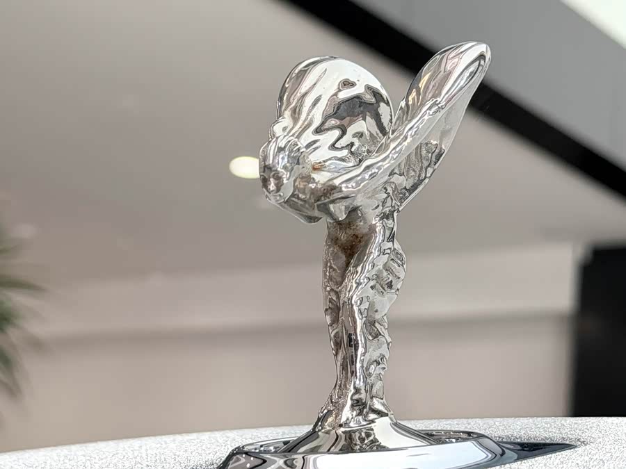 Denza Wraith 2017 car image #3