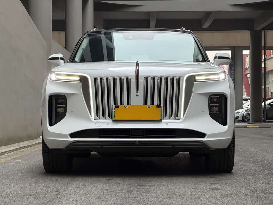 HongQi E-HS9 2023 car image #3