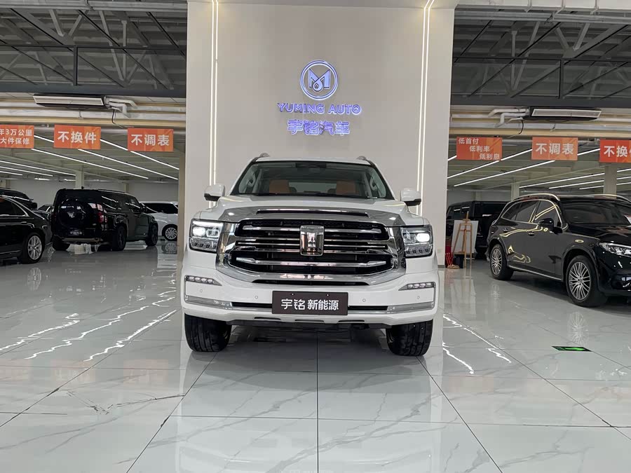 Tank 500 New Energy 2024 car image #3