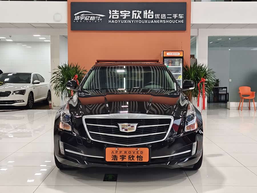 2019 #3 2019 car image #3