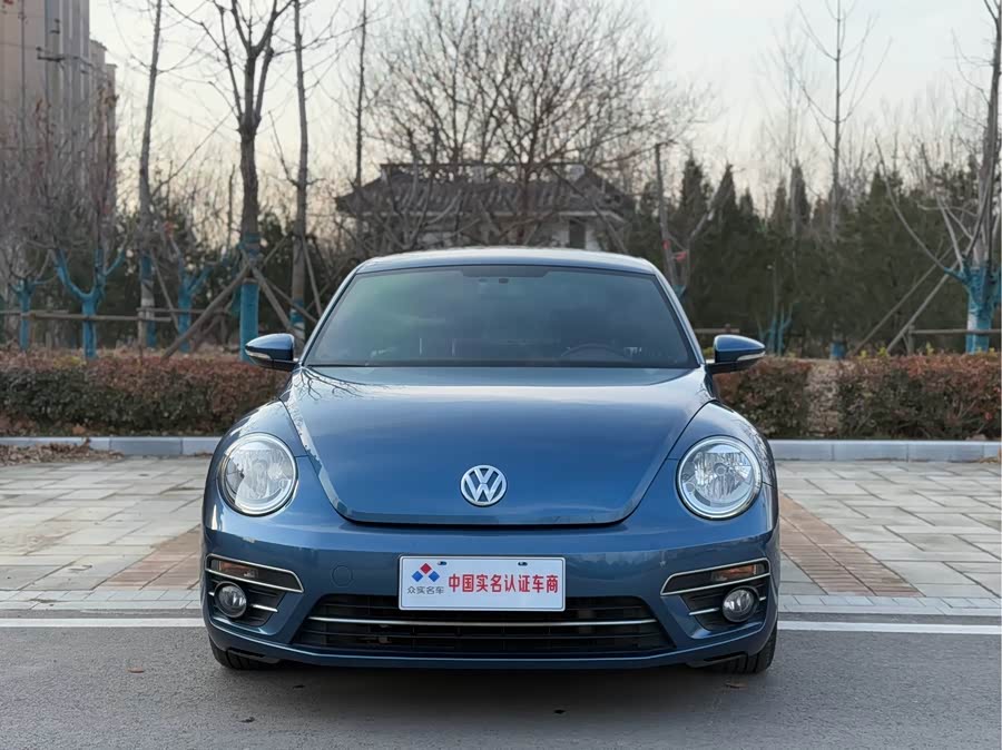 Volkswagen Beetle 2017 immagine di auto #3