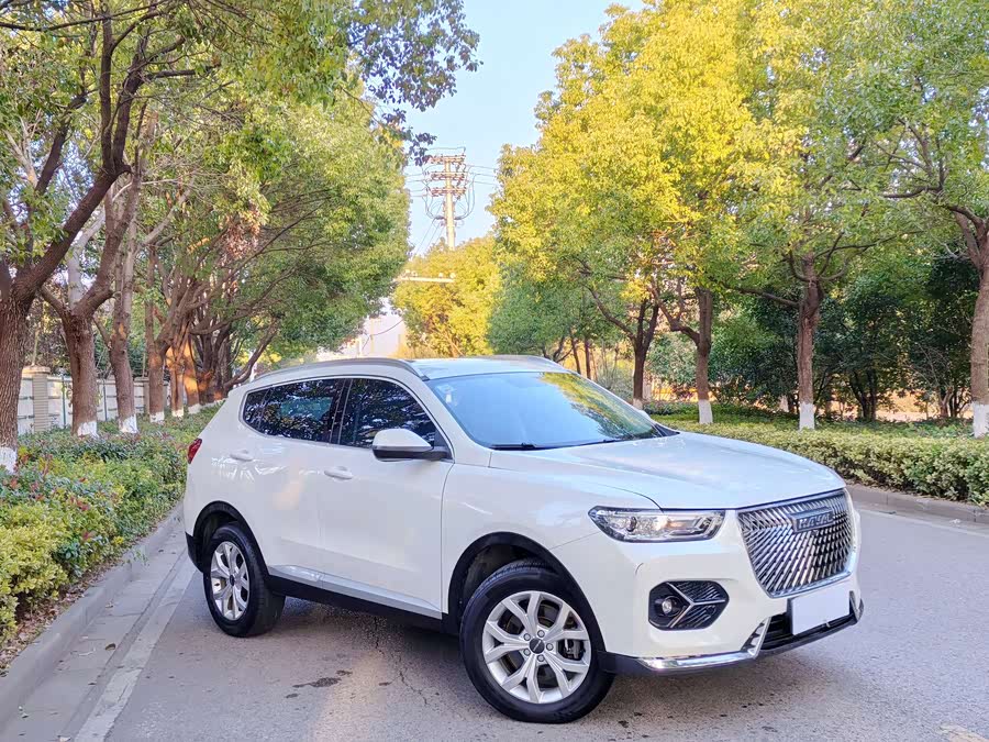 Haval H6 2020 car image #3