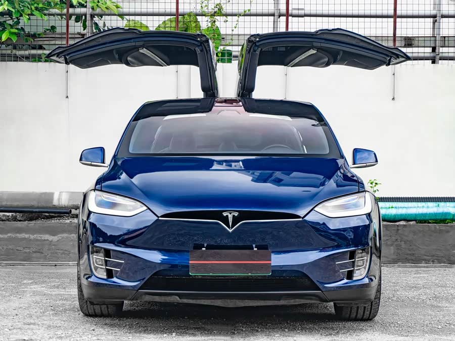 Tesla Model X 2020 car image #3