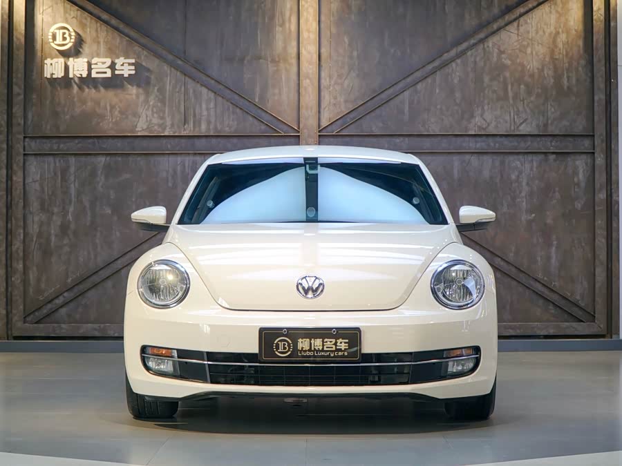 Volkswagen Beetle 2012 immagine di auto #3