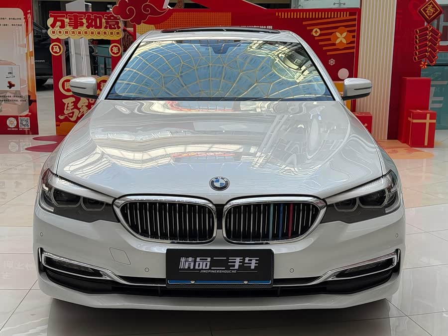 BMW 5 Series 2018 car image #3