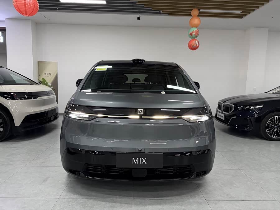 极氪 极氪MIX 汽车图片 #3
