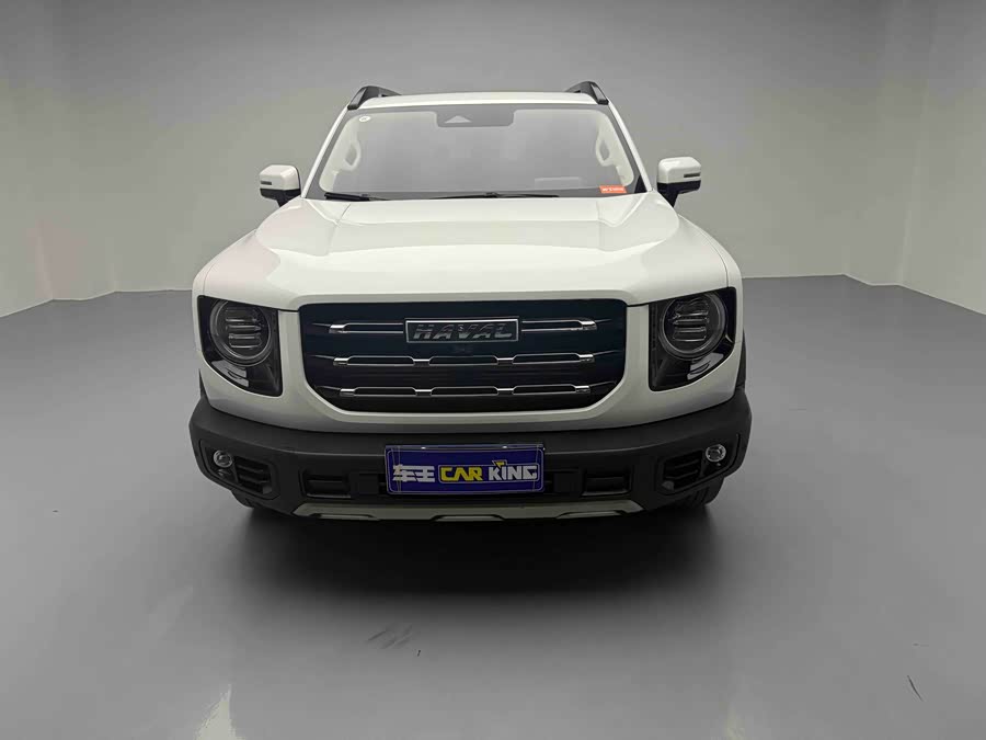 Haval X Dog / Dargo 2021 #3 Haval X Dog / Dargo 2021 car image #3