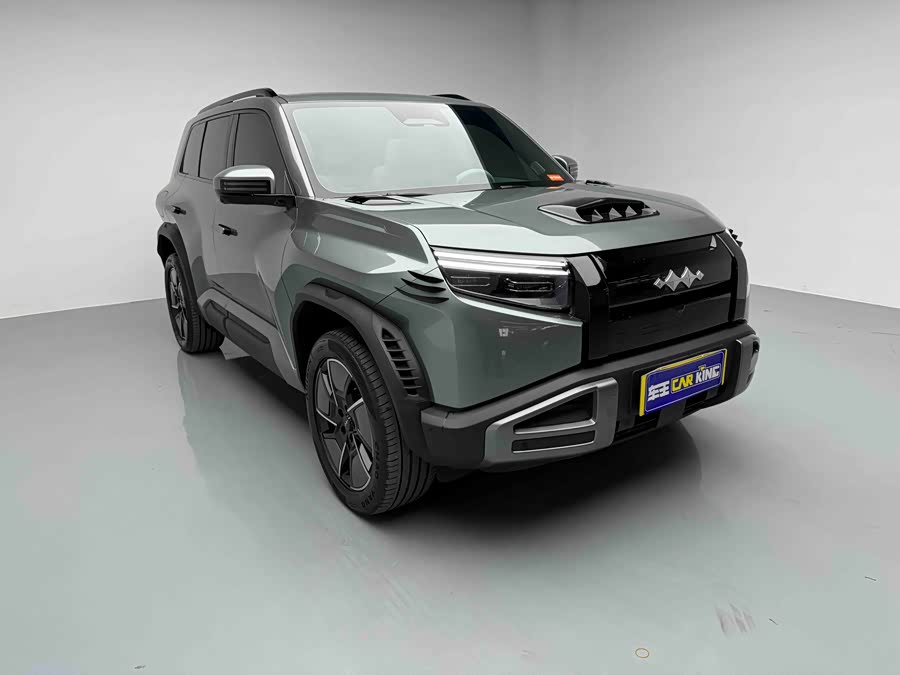 FangChengBao Tiger 3 2025 car image #3