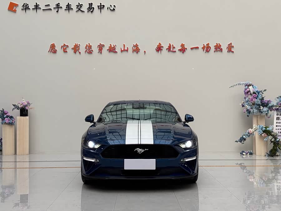 Ford Mustang 2023 #3 Ford Mustang 2023 car image #3