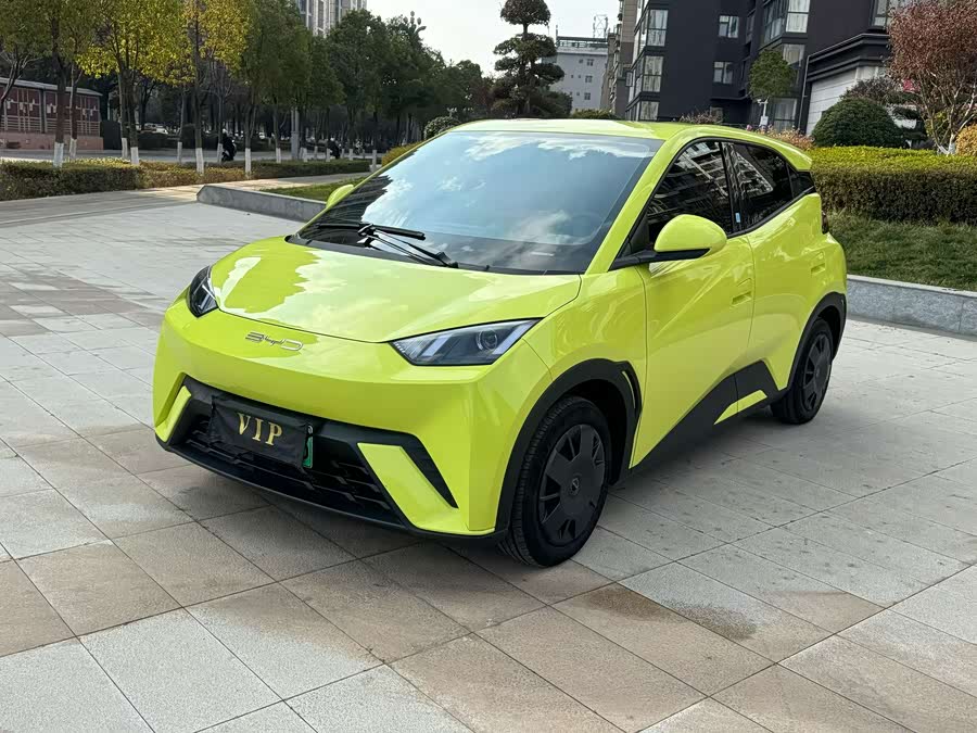 BYD 2024 car image #3