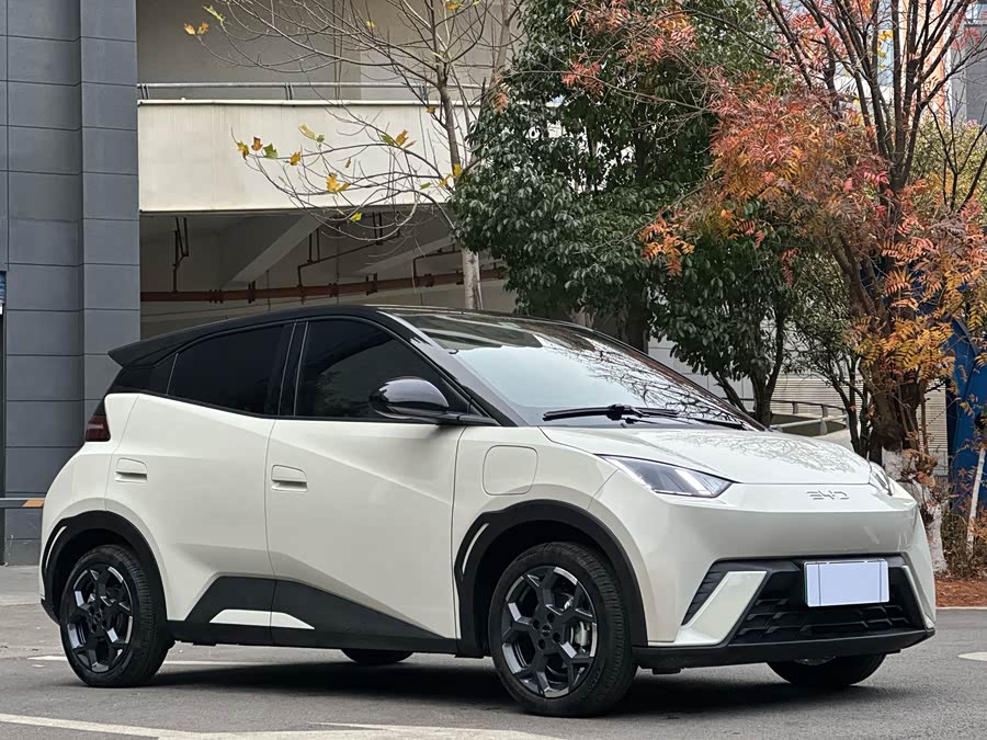 BYD Seagull 2024 #3 BYD Seagull 2024 صورة سيارة #3