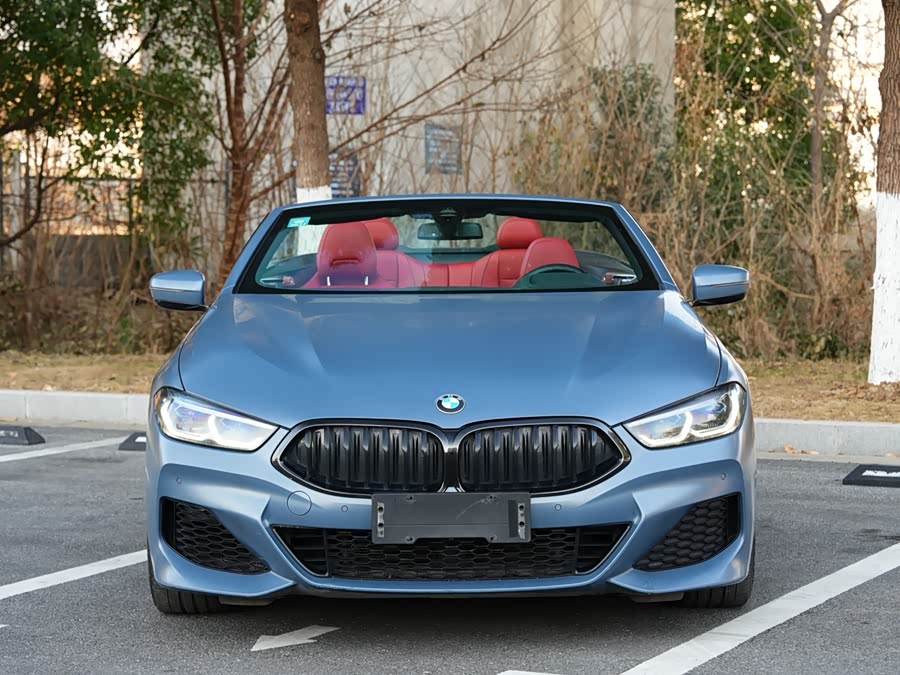 BMW 8 Series 2019 car image #3