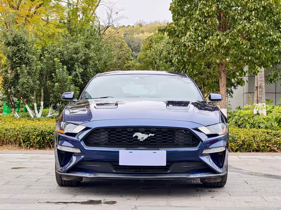 Ford Mustang 2018 imagem de carro #3