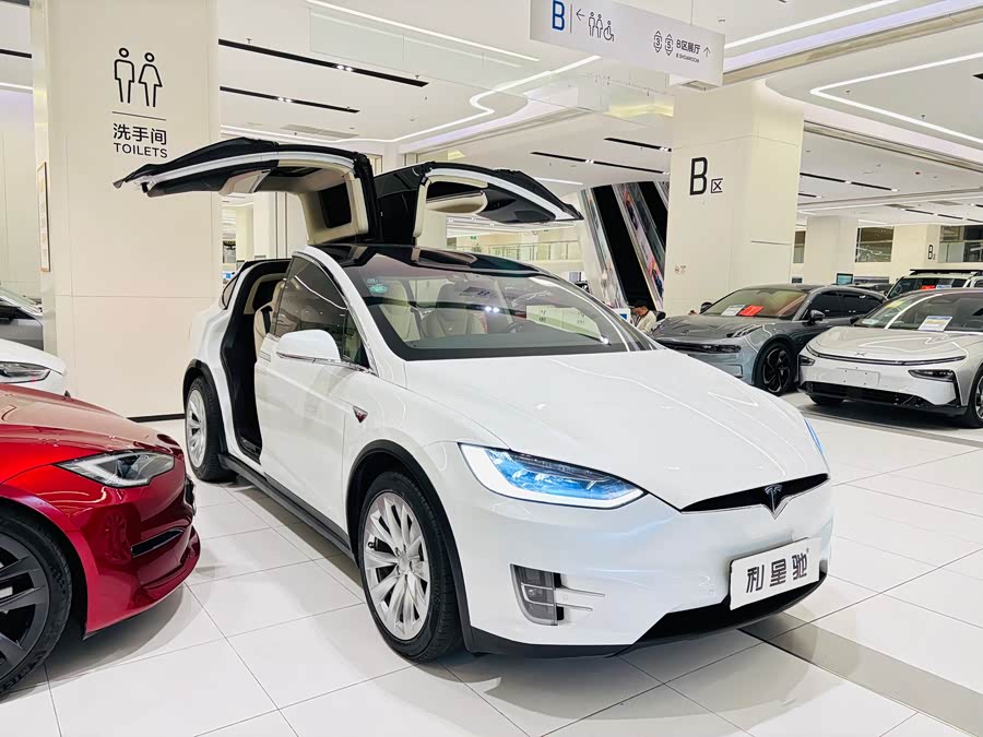 Tesla Model X 2018 car image #3