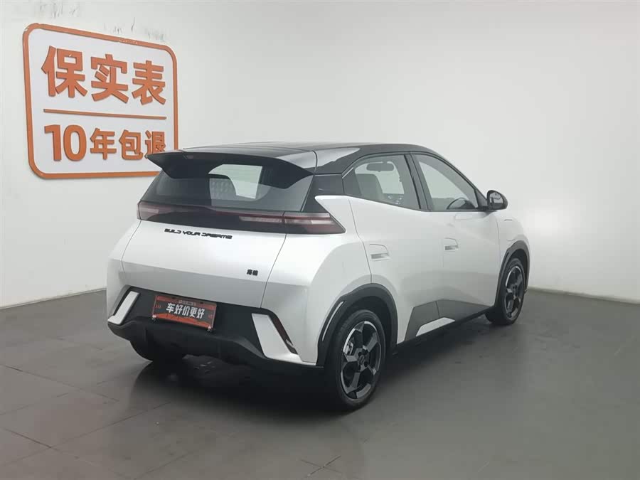 BYD Seagull 2024 car image #3