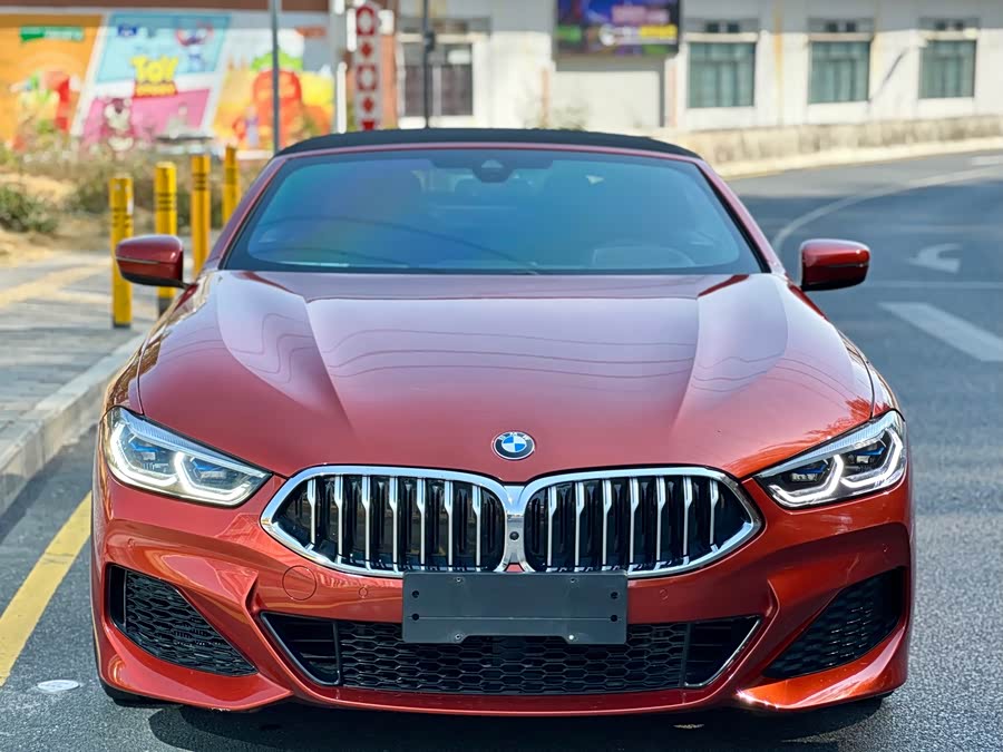 BMW 8 Series 2020 #3 BMW 8 Series 2020 car image #3