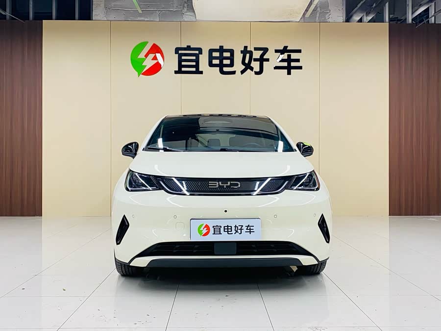 BYD Dolphin 2025 car image #3