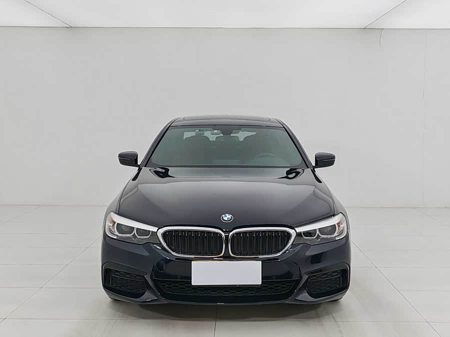 BMW 5 Series 2019 #3 BMW 5 Series 2019 car image #3