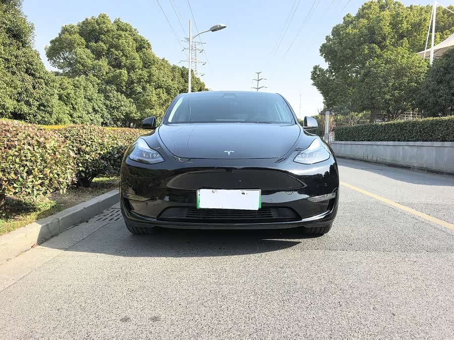 Tesla Model Y 2021 car image #3