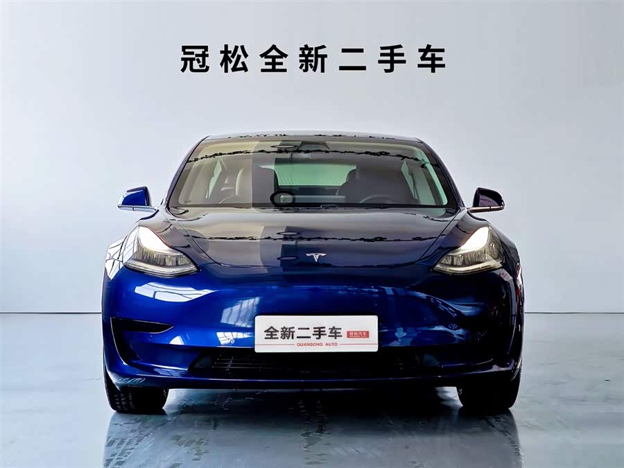 Tesla Model 3 2020 #3 Tesla Model 3 2020 car image #3