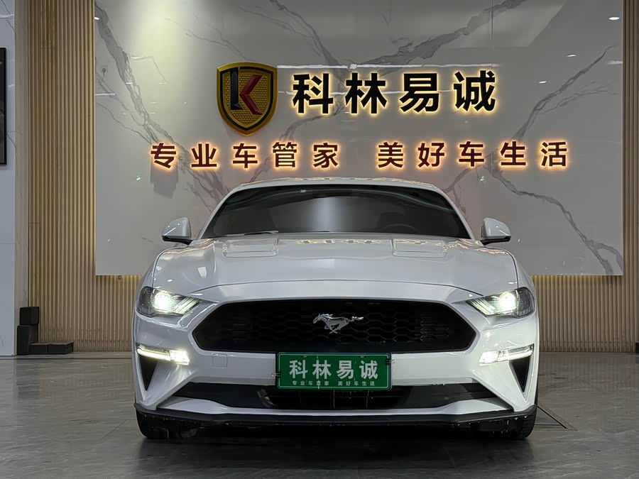 Ford Mustang 2019 #3 Ford Mustang 2019 car image #3