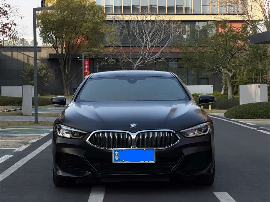 BMW 8 Series 2021 #3 BMW 8 Series 2021 car image #3