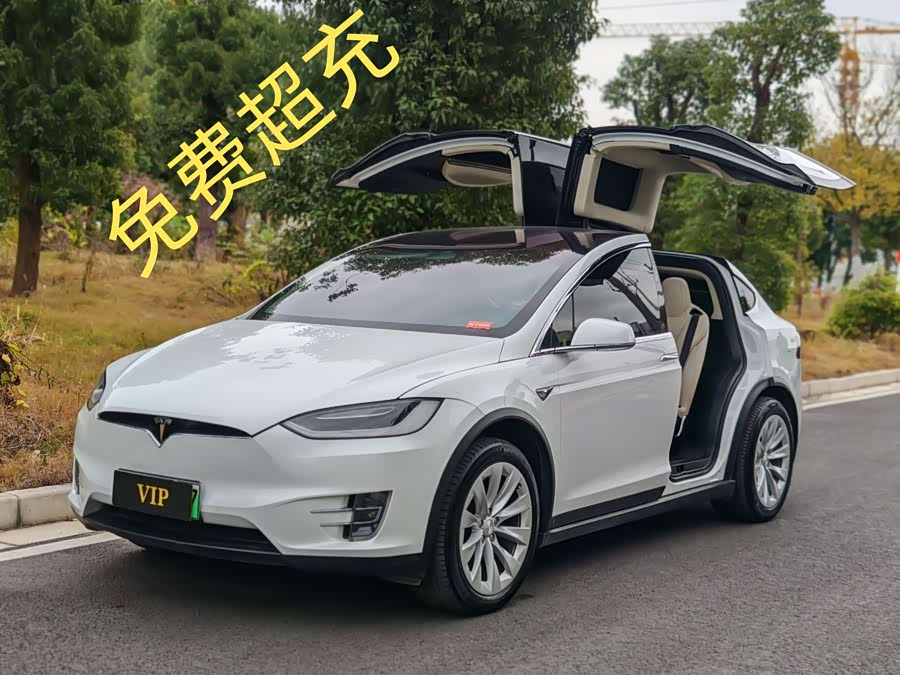 Tesla Model X 2018 immagine di auto #3