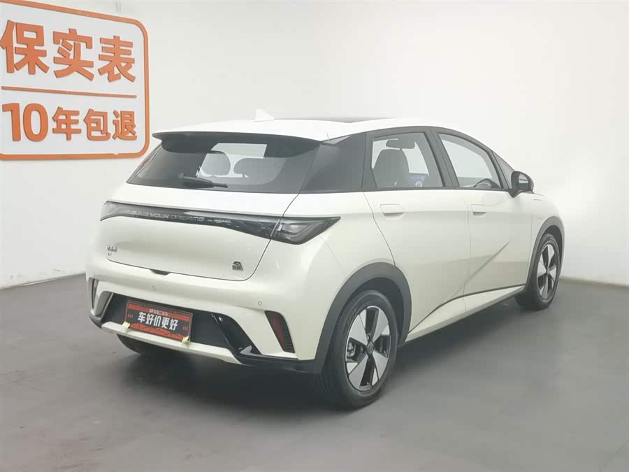 BYD Dolphin 2023 #3 BYD Dolphin 2023 car image #3