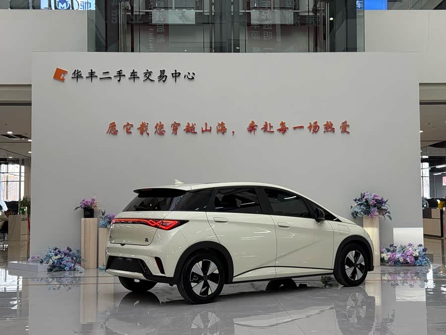BYD Dolphin 2023 #3 BYD Dolphin 2023 car image #3
