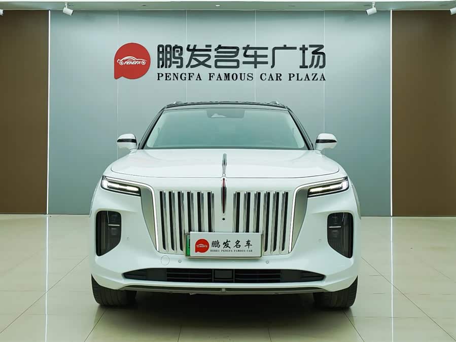 HongQi E-HS9 2022 immagine di auto #3
