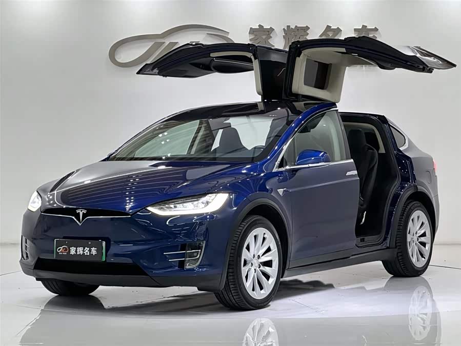 Tesla Model X 2018 car image #3