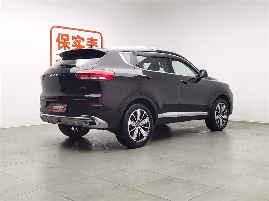 Haval H6 2020 car image #3