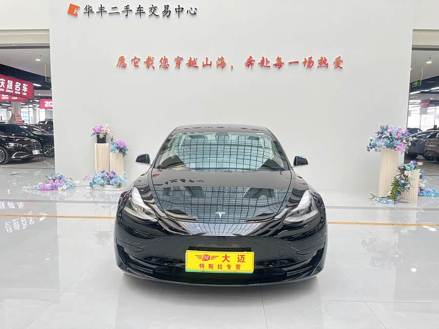Tesla Model 3 2020 #3 Tesla Model 3 2020 car image #3