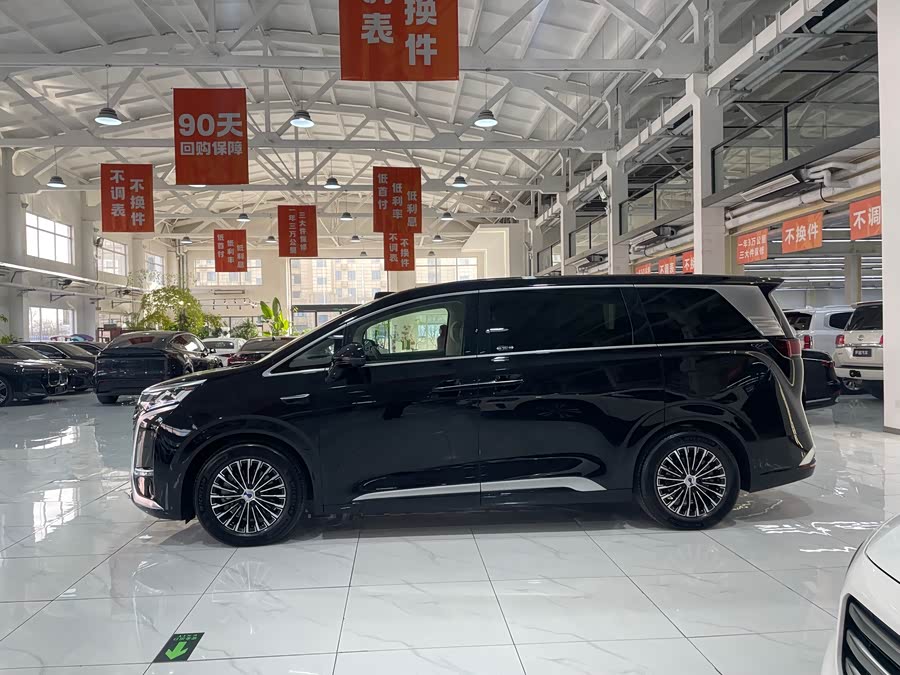 Denza D9 2025 imagen de coche #3